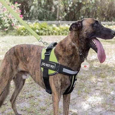 Do Not Pet Patch 2 Pcs Service Id Dog Tag Easily Attach to Dog Collar, Harness (Medium 1.50 x 5.12 inch) - Image 6