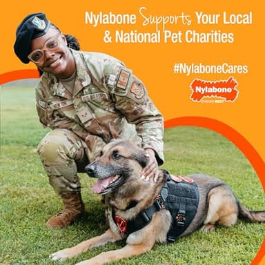 Nylabone Lobster Power Chew Toy for Dogs, Dog Toys for Aggressive Chewers, Filet Mignon Flavor, X-Large Dogs - 50+ lbs, 1 Count - Image 13