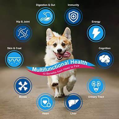 NATURE TARGET Dog Vitamins Powder, Probiotics & Digestive Enzymes for Gut Health, Glucosamine & Chondroitin & Omega 3, Complete Supplement for Homemade Dog Food, Joint & Skin & Immune Support - Image 4