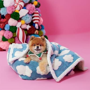 LE SURE Waterproof Puppy Blanket for Small Dogs - Washable Double Sided Dog Blankets with Warm Jacquard Shag and Soft Sherpa Fleece, Pet Cat Blanket for Couch Protection, 3D Textured Cloud, Blue - Image 7