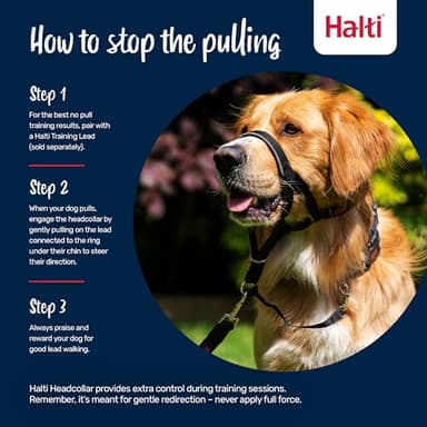 HALTI Headcollar - to Stop Your Dog Pulling on The Leash. Adjustable, Reflective and Lightweight, with Padded Nose Band. Dog Training Anti-Pull Collar for Medium Dogs (Size 2, Deep Walnut) - Image 4