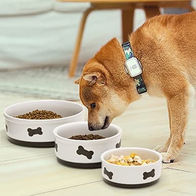 Sweejar Ceramic Dog Bowls with Bone Pattern, Dog Food Dish for Large Dogs, Porcelain Pet Bowl for Water 70 Fl Oz (Fog Blue) - Image 5