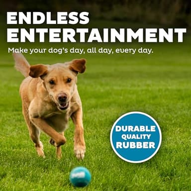 Outward Hound Squeaker Ballz 4-Pack Tennis Ball Dog Toys with Squeaker, Interactive Fetch Play for Pets Under 50 lbs, Training Balls for Indoor & Outdoor Exercise, Medium, 2.5-inch - Image 5