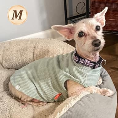 KYEESE 2Pack Waffle Dog Shirts for Small Dogs Stretchy T-Shirts Lightweight Tank Top Sleeveless Striped Vest Breathable Cat Tee, Medium, Green+Striped - Image 3