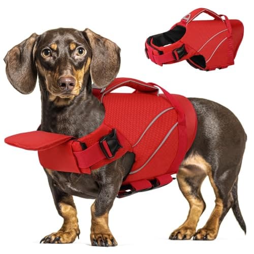 Queenmore Dog Life Jackets, Dog Life Vest for Swimming Medium, Ripstop Pet Lifesaver with Rescue Handle, High Visibility Flotation Vest, Pet Pool Float (Red,M) - Image 1