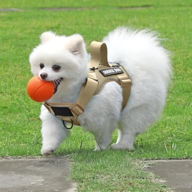 Demigreat Service Dog Harness, Reflective Dog Vest Harness with 5 PCS Patches, Adjustable Soft Oxford Pet Harness, Inner Layer Mesh, Easy to Control for Small Medium Large Dogs - Image 6