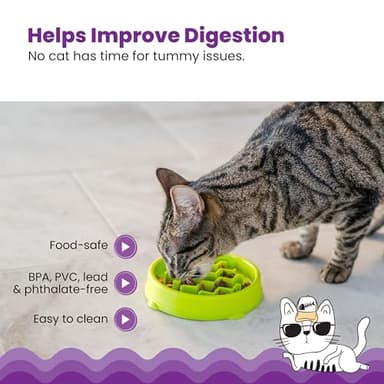 Catstages Kitty Slow Feeder Cat Bowl for Wet or Dry Cat Food, Helps Prevent Bloat & Improve Digestion, Non-Slip, BPA-Free, Small, Green - Image 4