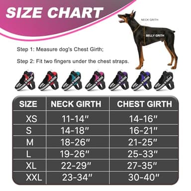 JUSTYEZI Essential Dog Harness with 3 Leash Clips - No-Pull, Adjustable, Comfortable Pet Vest Harness for Small to Large Dogs - Easy On, No Choke, Reflective, Padded Harness for Walking and Training - Image 3