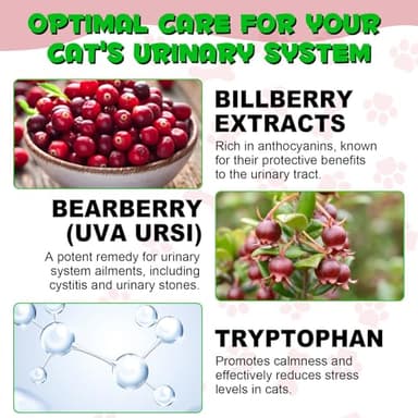 Urinary Tract for Cats, Natural Cat Urinary Tract Infection Treatment Drops Supports Bladder, Kidney Stone, Cat UTI, Cranberry Kidney Bladder Support Supplement, Chicken Flavor - 60ml / 2.02oz - Image 7