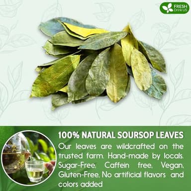 FreshDrinkUS, 75+ Premium Soursop Graviola Dried Leaves Tea, Natural Whole Leaves, Wildcrafted, Hoja De Guanabana, Soursop/Guanabana/Graviola Tea, No Sugar/Gluten/Caffeine/Non GMO, Vegan - Image 4