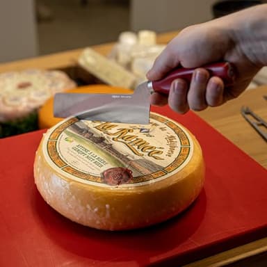 BOSKA Semi-hard Cheese Knife - Red - Premium Cheese Cutter - For professional use - HACCP - Food Safety - Cheese Knives - 1896 collection - Image 2