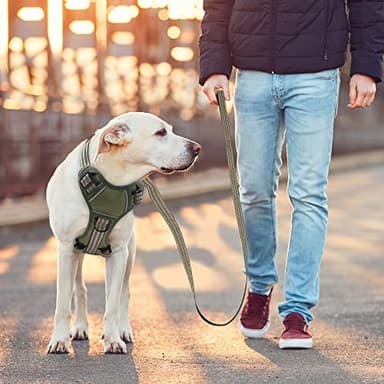 No Pull Dog Harness for Small Dogs, Adjustable No Choke Pet Vest with Dog Leash Fit Smart Reflective Pet Walking Harness for Training Easy Control Soft Handle Green S - Image 6