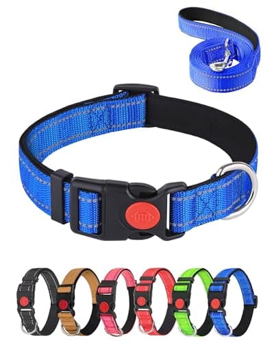 Aeclleca Reflective Dog Collar and Leash Set with Safety Locking Buckle，Adjustable Soft Nylon Pet Collars for Small Medium Dogs (Blue, XL) - Image 1