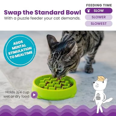Catstages Kitty Slow Feeder Cat Bowl for Wet or Dry Cat Food, Helps Prevent Bloat & Improve Digestion, Non-Slip, BPA-Free, Small, Green - Image 2