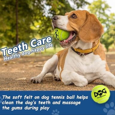 Squeaky Tennis Balls for Dogs - 12 Pack 2.5'' Durable Non-Toxic Outdoor Dog Toys Balls with Mesh Bag, SGS Certified, Colorful Fetch Toys, Medium Large Breeds - Image 6