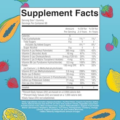 MaryRuth Organics Kids Vitamins | Multi | Sugar Free | 2 Month Supply | Kids Multivitamin Gummies for Ages 2+ | Vegan | Only 1 Gummy a Day | 60 Count - Image 2
