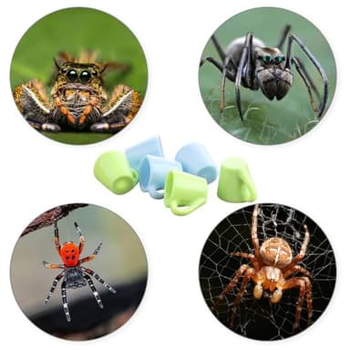 6 Pcs Tarantula Micro Water Bowl Spider Resin Feeding Bowl for Spider Tarantula Millipede Tiny Bugs Small Insects (Blue and Green) - Image 3