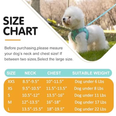 TomteNisse Dog Harness and Leash Set, No Pull Pet Harness for Small Dogs Easy Walking,Soft Breathable Small Dog Harness,Adjustable Reflective Step in Vest Harness for Puppy,Kitten, Cats - Image 6