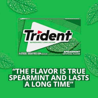 Trident Spearmint Sugar-Free Chewing Gum, 12 Packs of 14 Pieces (168 Total Pieces) - Image 8