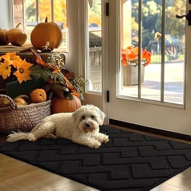 hicorfe Indoor Door Mat,Non Slip Door Mats,32"x48" Front Back Door Mat Rubber Backing,Absorbent Resist Dirt Entrance Inside Floor Mats for Entryway Washable Low-Profile(Black) - Image 1