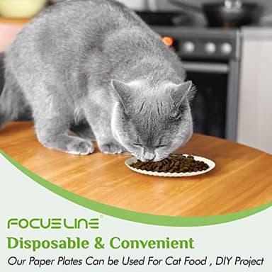 FOCUSLINE 6 Inch Paper Plates 1000 Count, White Paper Plates Uncoated, Everyday Disposable Dessert Plate 6" Small Plate Bulk 1000 Count - Image 6