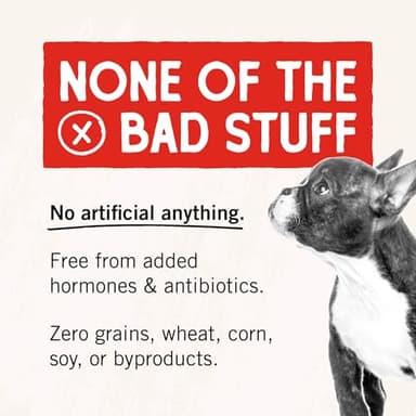 Stella & Chewy's Freeze-Dried Raw Chicken Breast Dog Treats - Single Ingredient, No Additives - Premium Training Treats - Perfect For Picky Eaters - 2.75oz Bag - Image 4