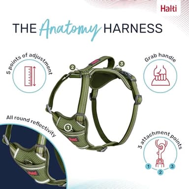 HALTI Anatomy Dog Harness with Handle - Provides Your Dog Freedom of Movement for Comfortable Walking. 3 Leash Attachment Points, Neoprene Padded, Adjustable, and Reflective (Size X-Large, Green) - Image 3