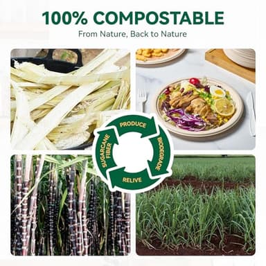 JOLLY CHEF 100% Compostable Paper Plates, 150 Pack 9 Inch Heavy Duty Plates, Disposable Biodegradable Eco-Friendly Sugarcane, Bulk Nature - Image 3