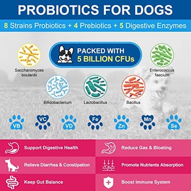 NATURE TARGET Dog Vitamins Powder, Probiotics & Digestive Enzymes for Gut Health, Glucosamine & Chondroitin & Omega 3, Complete Supplement for Homemade Dog Food, Joint & Skin & Immune Support - Image 5