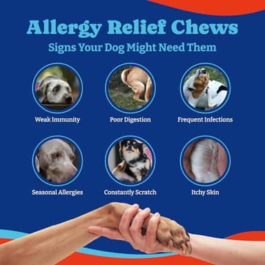YoYoBay Dog Allergy Relief Chews – 180 Soft Chews, Duck & Pear Flavor - Immune Support & Itch Relief with Colostrum, Astragalus Root, 6-Strain Gut Health Blend - Image 6