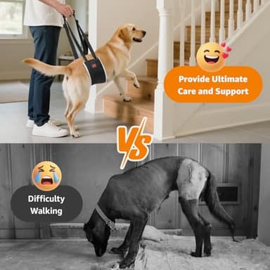 LOOBANI Portable Dog Sling for Back Legs, Hip Support Harness to Help Lift Rear for Canine Aid Old K9 Cruciate Ligament Rehabilitation - Image 2