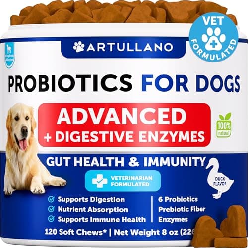 Probiotics for Dogs - Support Gut Health, Itchy Skin, Allergies, Immunity, Yeast Balance - Dog Probiotics and Digestive Enzymes with Prebiotics - Reduce Diarrhea, Gas - 120 Probiotic Chews for Dogs - Image 1
