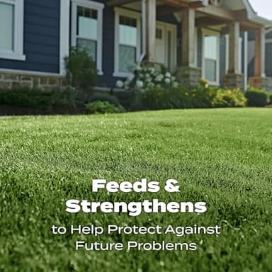 Scotts Turf Builder Lawn Food - Fertilizer for All Grass Types, 15,000 sq. ft., 37.50 lbs. - Image 7
