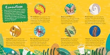 Sneak! (Slide-and-See Nature) - Image 6