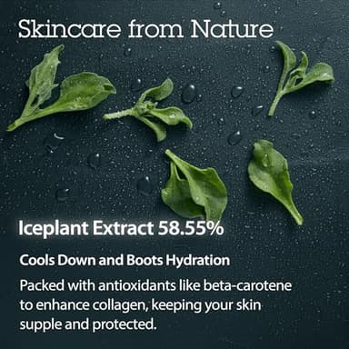 BLITHE Pressed Serum Crystal Iceplant Face Moisturizing Gel - Kbeauty Best Skin Cream for Dry Skin, Korean Serum for Combination Skin & Redness Relief, Face Moisturizer for Dry Skin Cream 1.68 Oz - Image 5