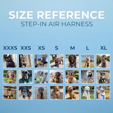 Best Pet Supplies Voyager Step-in Air Harness - All Weather Mesh, Reflective, No Pull Harness for Dogs, Cats - Secure with Hook & Loop Fastener, Buckle, Double D-Rings - Fuchsia, M - Image 6
