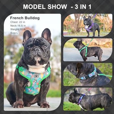 BEAUTYZOO Step in Dog Harness Collar and Leash Set for Small Medium Large Dogs, No Pull No Choke Puppy Harness, Soft Mesh Reflective Pet Padded Vest Adjustable for Doggie Girl or Boy,French Bulldog - Image 8