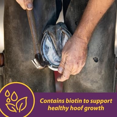 Horse Health Vita Biotin Crumbles horse hoof Supplement, Helps maintain healthy, sound hooves and strong hoof walls, 3 lbs., 48 day supply - Image 3