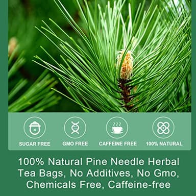Pine Needle Tea Bags - Organic Dried Pine Needle Herbal Tea for Immune Support & Antioxidant, Caffeine Free, Natural Suramin, 20 Tea bags - Image 3
