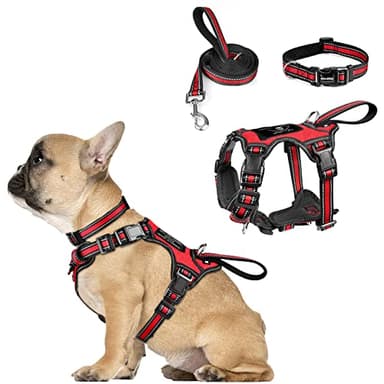 WINSEE Pet Harness Collar and Leash Set, All-in-one Reflective Dog Harness No Pull with Adjustable Buckles for Puppies, Small, Medium, Large, and Extra-Large Dogs (Small, Red) - Image 1
