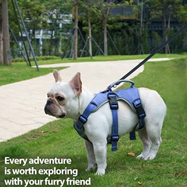 Huntboo Escape Proof Dog Harness, Escape Artist Harness, Reflective Dog Harness with Handle, Durable,Adjustable Vest for Small Medium Large Dogs Walking, Training, and Running Gear(Technicolor Blue,M) - Image 7