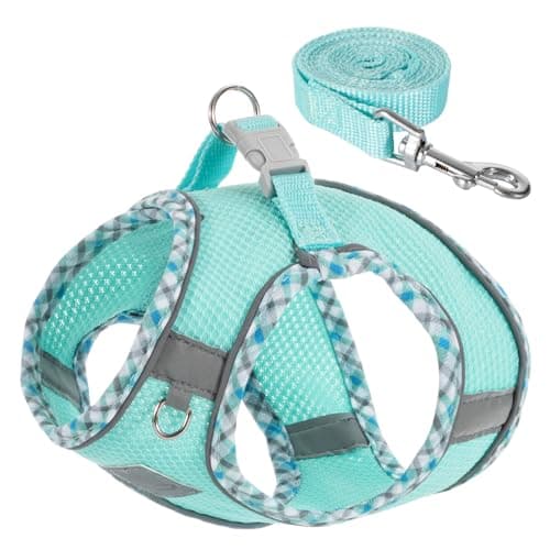 TomteNisse Dog Harness and Leash Set, No Pull Pet Harness for Small Dogs Easy Walking,Soft Breathable Small Dog Harness,Adjustable Reflective Step in Vest Harness for Puppy,Kitten, Cats - Image 1