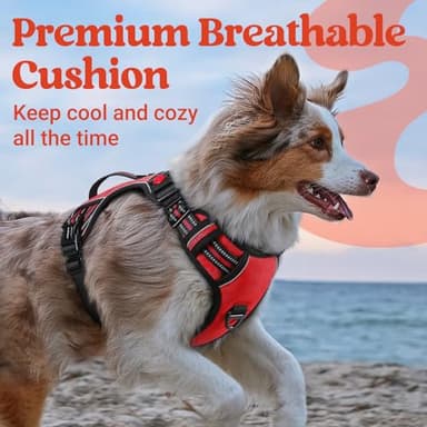 rabbitgoo Dog Harness Medium Sized, No Pull Pet Harness with Soft Padded Handle, Adjustable Reflective Vest with 3 Buckles, Easy Walking Harness with 2 Leash Clips, Red, M - Image 7