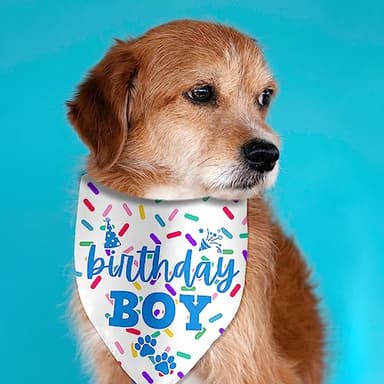 Birthday Boy Dog Bandanas for Photo Props - Happy Birthday Party Accessories - Image 3