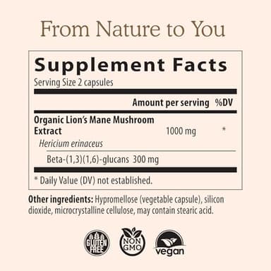 Lions Mane Mushroom Cognition (120 Capsules) Lions Mane Mushroom Powder Extract Capsules | Brain Supplement, Brain Vitamins, Focus Supplement - Image 2