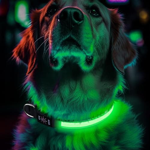 Light Up Dog Collar Rechargeable, LED Glow Collar in Dark with 3 Flash Mode for Outdoor Night Walking Visible Safe, Adjustable Waterproof Dog Light for Small Medium Large Breed, Green, M - Image 1