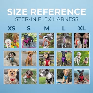 Best Pet Supplies Voyager Adjustable Dog Vest Harness Breathable No Pull Harness for Small, Medium, Large Dogs, Harness for Walking, Jogging, Easy Step-in, Reflective Stripes - Red, XL - Image 6