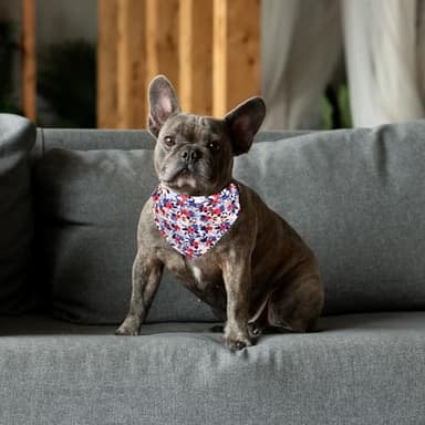 Dog Collars and Bandanas - Soft Adjustable Fancy Floral Boys Girls Puppy Collar for Small Medium Large Dogs. - Image 2