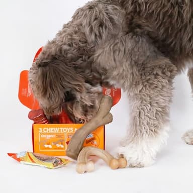 Nylabone Dog Gift Box, Includes 3 Strong Chew Toys and 1 Natural Treat, Gifts for Dogs, Large - Up to 50 lbs, 4 Pack - Image 8