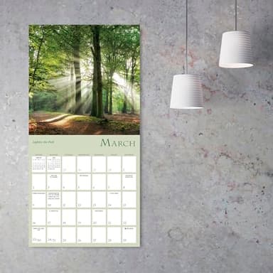 Enchanted Pathways 2025 Wall Calendar — The Photography of Lars van de Goor, 12" x 12" - Image 6